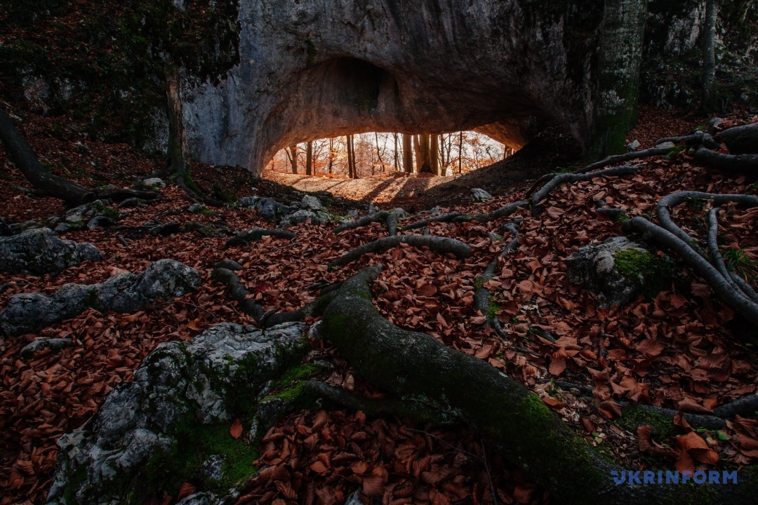 Фото: Сергій Гудак