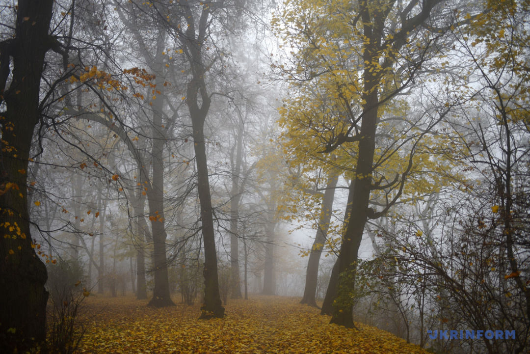 Фото: Маркіян Лисейко