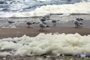Costa del Mar Negro en Odesa cubierta de espuma