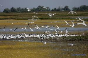 На Миколаївщині створили віртуальний тур нацпарком «Білобережжя Святослава»