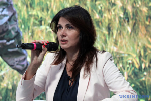 Ірина Фріз, голова Постійної делегації України у Парламентській асамблеї НАТО