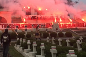 Фаєри на