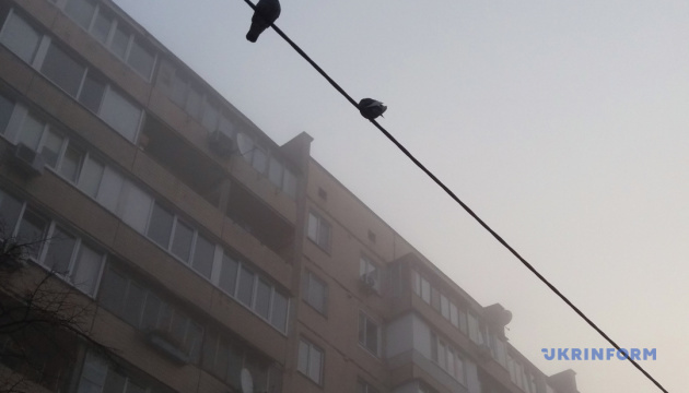 Загазованості повітря у Києві сприяє тепла погода та слабкий вітер