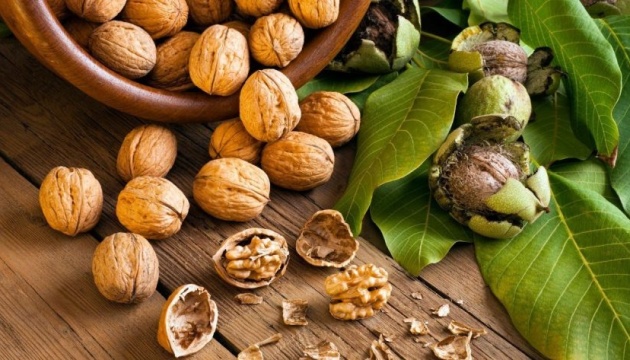 Ukraine’s walnut exports grow 18%