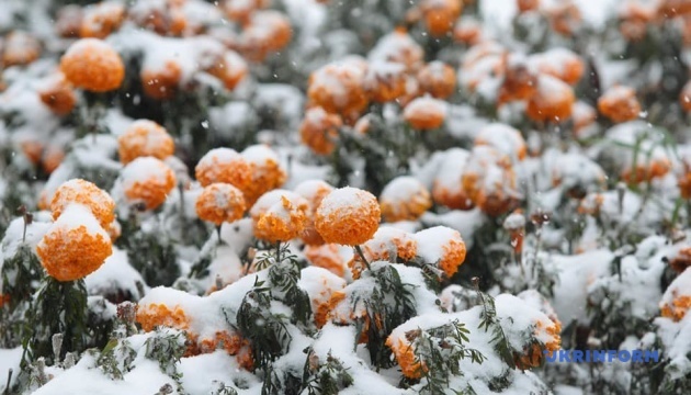 L’hiver avant l’heure: l’Ukraine est sous la neige (photos, vidéo)