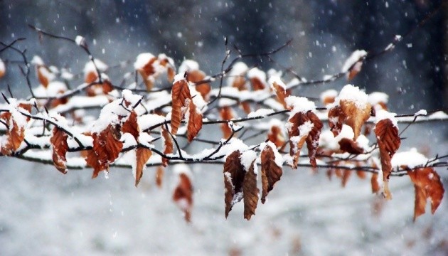В Україні сніжитиме чотири дні поспіль