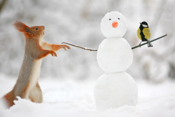 Kyiv set 28 weather records last year