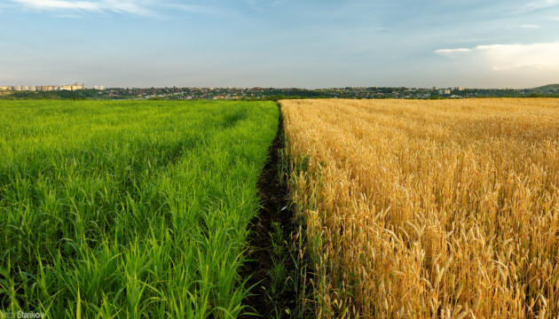 Wheat exports to reach 17.2M tonnes in 2020/2021 MY – Economy Ministry