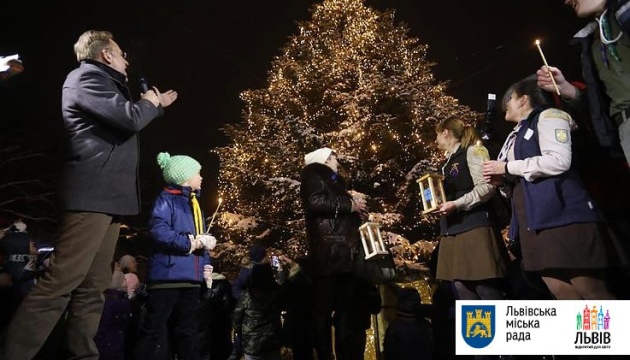 Головна ялинка Львова засвітила вогні 