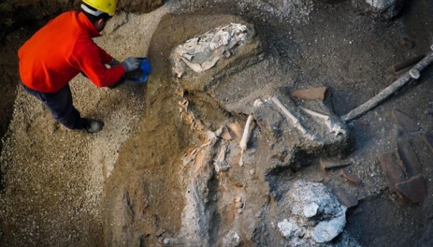 У Помпеях знайшли останки коня в упряжі