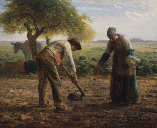 «Картопляне поле», Бостонський музей образотворчих мистецтв, США