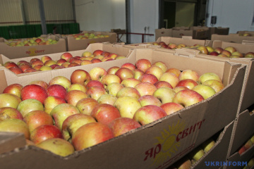 Ukraine’s apple exports to Ethiopia grows more than six-fold