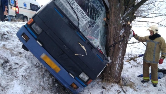 Через негоду на Херсонщині рейсовий автобус з'їхав у кювет, є поранені Через негоду на Херсонщині рейсовий автобус з'їхав у кювет, є поранені