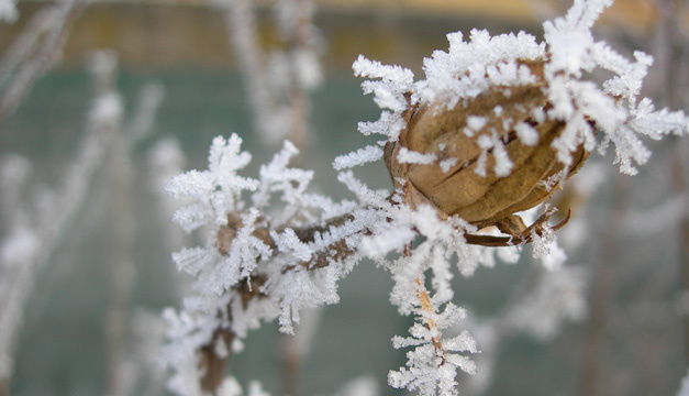 В Україні — морози до -11°, без опадів