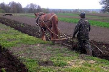 В Украине количество личных крестьянских хозяйств уменьшилось почти на 1%