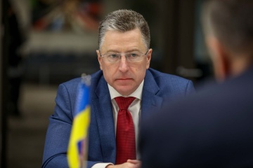 Репутация Украины зависит от того, как пройдут выборы - Волкер