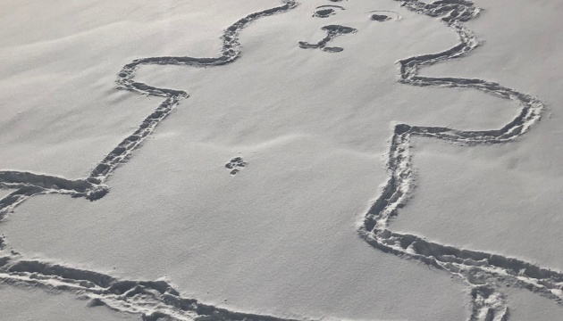 Канадці ламають голову над загадковою сніговою творчістю у Монреалі