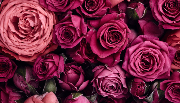 У Туреччині на квіти до Дня закоханих витратять майже півмільярда доларів
