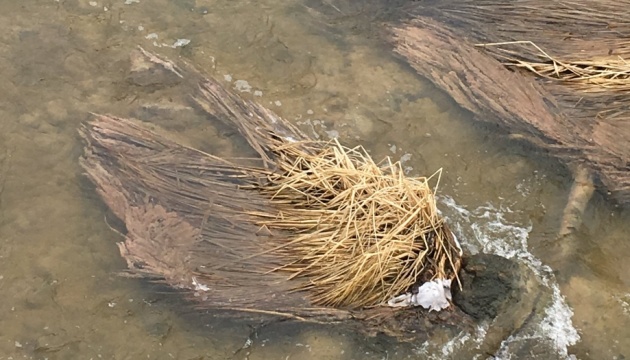 На Житомирщині екологи виявили забруднення річки невідомими речовинами