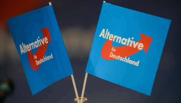 Німецька розвідка перевіряє зв'язки ультраправих партій з Росією - ЗМІ