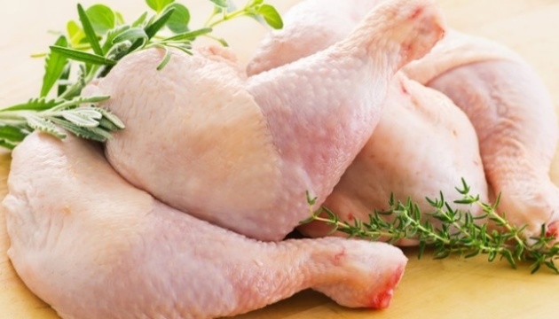 Торік свійська птиця була у топі експорту серед українських м'ясопродуктів