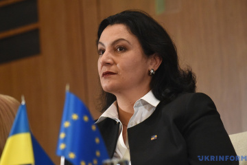 Климпуш-Цинцадзе сподівається, що заяви окремих політиків не вплинуть на взаємини зі США