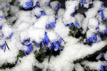 Kyiv sous la neige de printemps (photos)