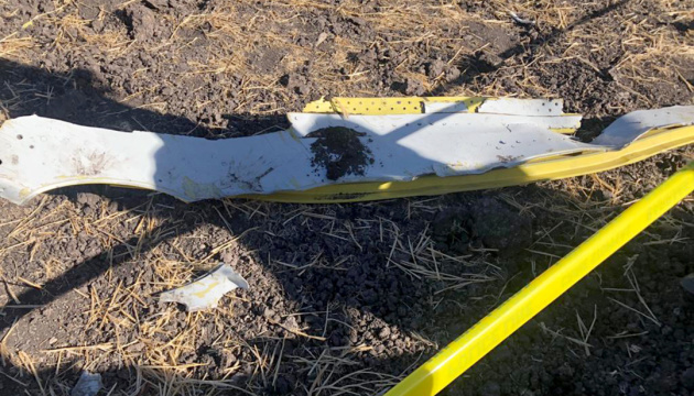 Під час аварії літака в Ефіопії загинула родина словацького депутата