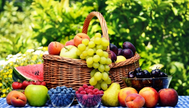 Export von Obst und Nüsse im Februar auf Rekordhoch