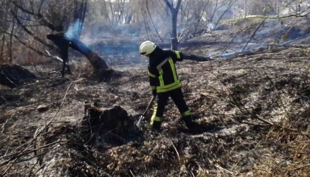 У Кличка закликали не спалювати суху траву та листя У Кличка закликали не спалювати суху траву та листя