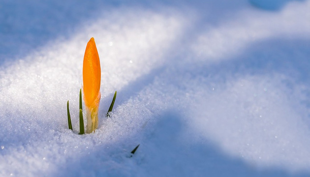 Перший день весни принесе в Україну мокрий сніг і до 10° тепла