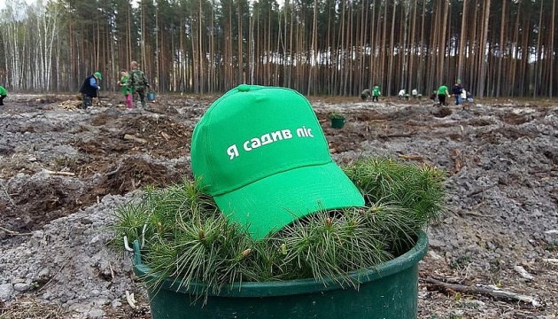 У держлісгоспах Житомирщини висадять понад 23 мільйони молодих дерев