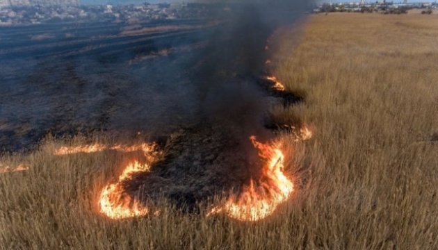 Пожежі у плавнях на Херсонщині: поліція відкрила три справи