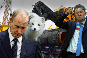 Нужны асимметричные действия: бить следует по «игрушках Путина» – «Северному потоку-2» и «Турецкому потоку»