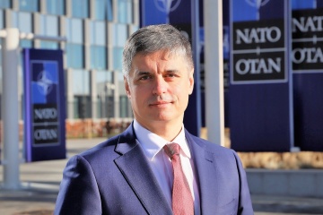 Пристайко каже, що нерішучість НАТО дозволила РФ напасти на Україну та Грузію