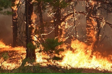 Fire hazard in Ukraine to be high until end of week
