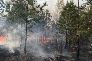 Extreme level of fire hazard remains in nine regions of Ukraine