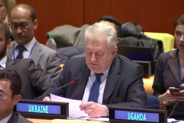 Єльченко написав голові Радбезу ООН лист-роз'яснення щодо