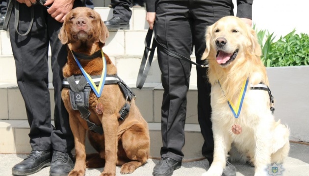 929 perros sirven en la policía ucraniana 