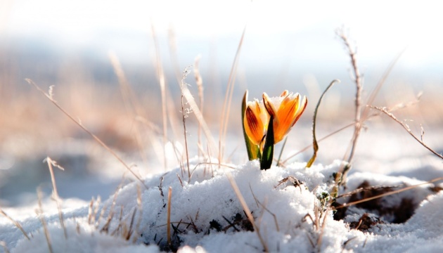 На вихідних в Україну прийде потепління до +18°, але вночі збережуться заморозки На вихідних в Україну прийде потепління до +18°, але вночі збережуться заморозки