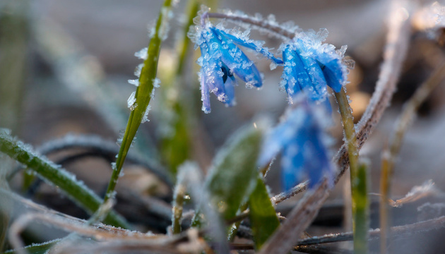 Weather forecasters warn of night frost in Ukraine