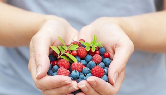 Ukraine increased export of berries almost five times over past four year