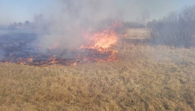 На Житомирщині через спалювання сухої трави загинула жінка