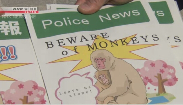 Кіотські мавпи нападають на туристів