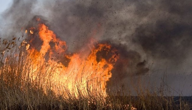 На Чернігівщині з авіацією гасять пожежу на 40 гектарах лісу
