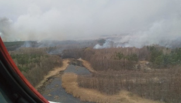 На Чернігівщині загасили пожежу у ландшафтному парку 