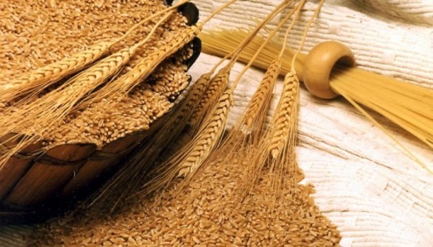 Ukraine’s grain exports exceed 38.6 mln tonnes