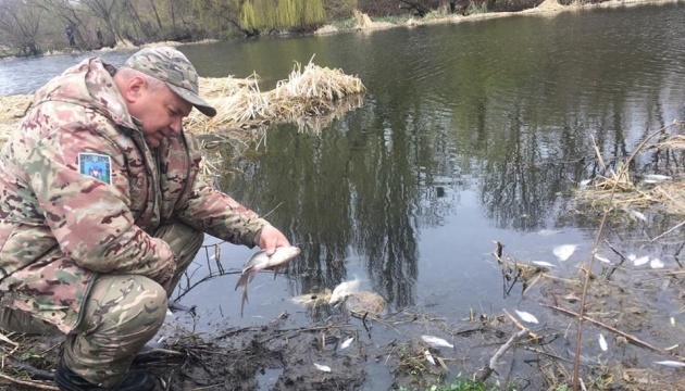 На Житомирщині масово гине риба у річці Случ
