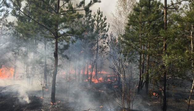 У чотирьох областях України переважатиме надзвичайна пожежна небезпека