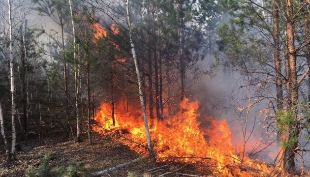 На Луганщині від учора гасять лісову пожежу площею 20 гектарів